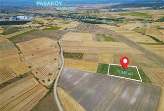C21 WİNNER PAŞAKÖY'DE 5.045 m² SATILIK TARLA