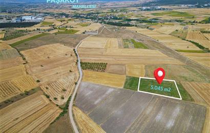 C21 WİNNER PAŞAKÖY'DE 5.045 m² SATILIK TARLA
