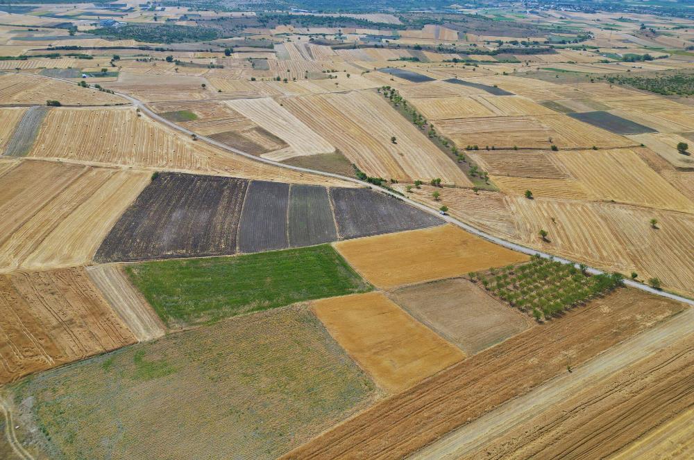 C21 WİNNER PAŞAKÖY'DE 5.045 m² SATILIK TARLA