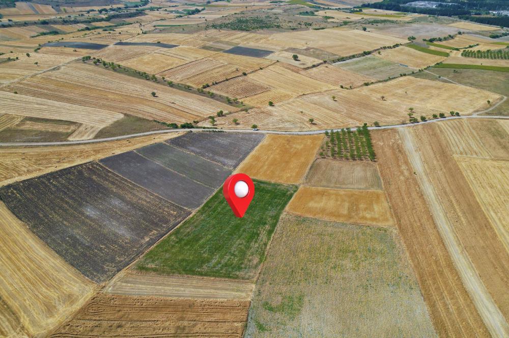 C21 WİNNER PAŞAKÖY'DE 5.045 m² SATILIK TARLA