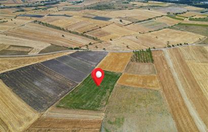 C21 WİNNER PAŞAKÖY'DE 5.045 m² SATILIK TARLA