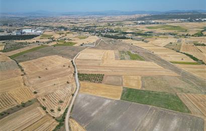 C21 WİNNER PAŞAKÖY'DE 5.045 m² SATILIK TARLA