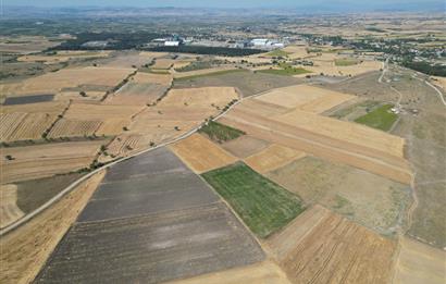 C21 WİNNER PAŞAKÖY'DE 5.045 m² SATILIK TARLA