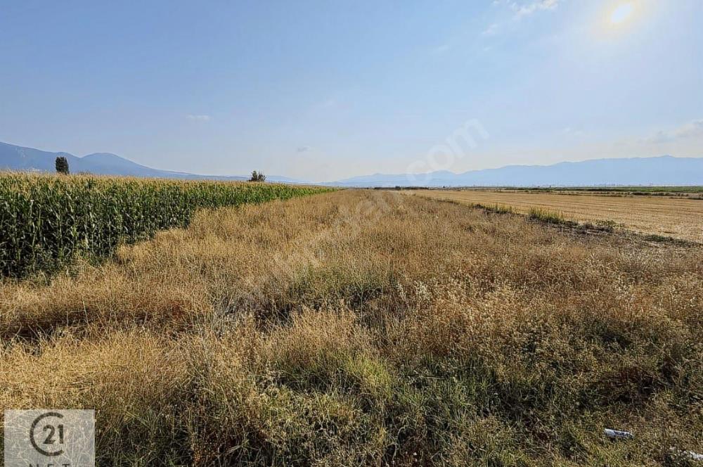 Century 21 Net'ten Gölhisar/Yamadı(Ana Asfalta Sıfır) Tarla
