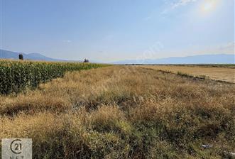 Century 21 Net'ten Gölhisar/Yamadı(Ana Asfalta Sıfır) Tarla