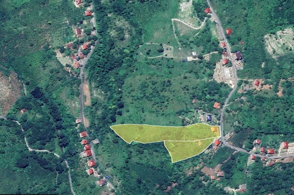 Century 21'den Ordu Perşembe'de 17.000 m² Bungalov Uygun Arsa