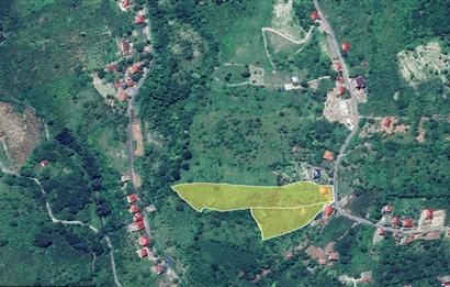 Century 21'den Ordu Perşembe'de 17.000 m² Bungalov Uygun Arsa