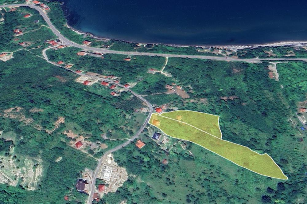 Century 21'den Ordu Perşembe'de 17.000 m² Bungalov Uygun Arsa