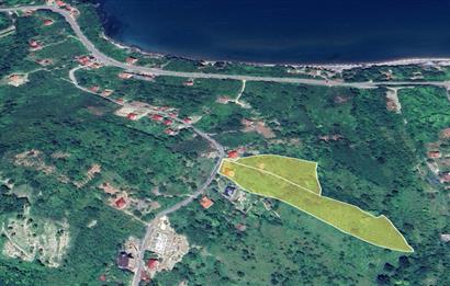 Century 21'den Ordu Perşembe'de 17.000 m² Bungalov Uygun Arsa