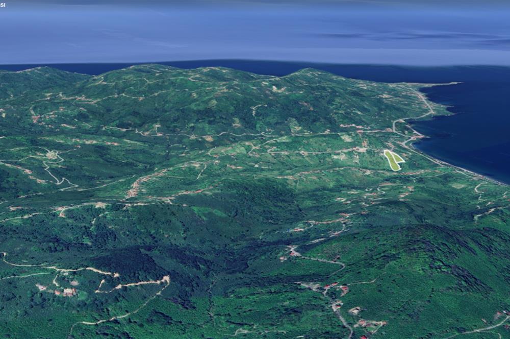 Century 21'den Ordu Perşembe'de 17.000 m² Bungalov Uygun Arsa