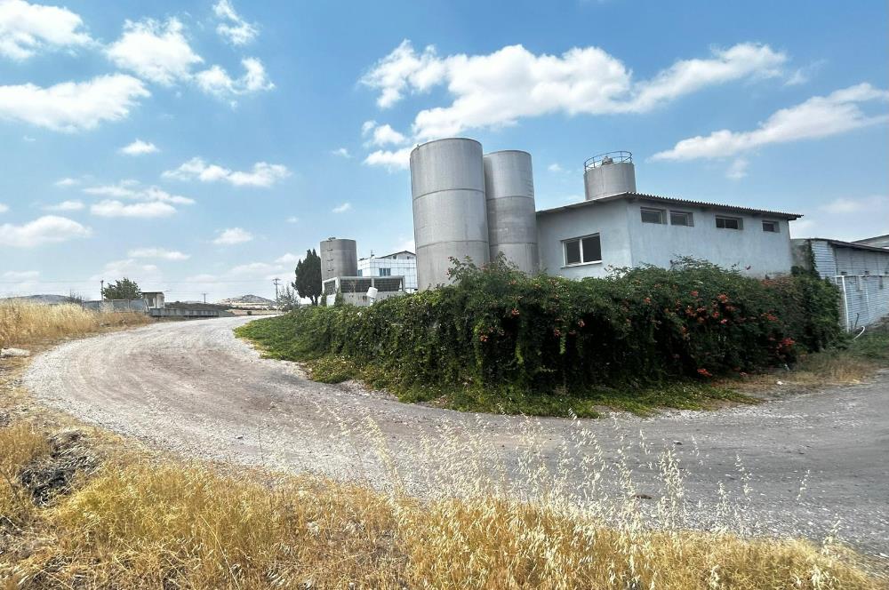 Century21 Neo’dan Manisa ili Kula ilçesinde satılık peynir fabrikası