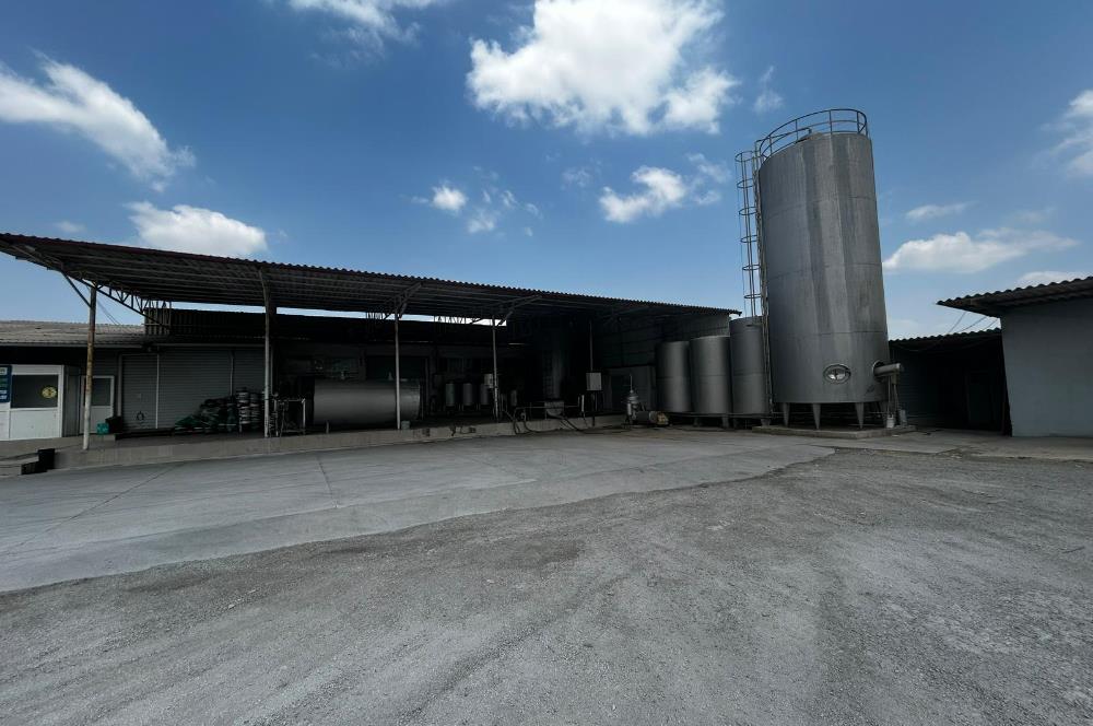 Century21 Neo’dan Manisa ili Kula ilçesinde satılık peynir fabrikası