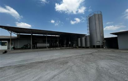 Century21 Neo’dan Manisa ili Kula ilçesinde satılık peynir fabrikası