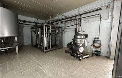 Century21 Neo’dan Manisa ili Kula ilçesinde satılık peynir fabrikası