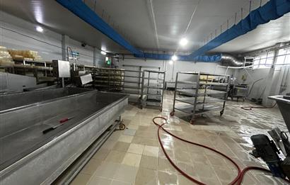 Century21 Neo’dan Manisa ili Kula ilçesinde satılık peynir fabrikası