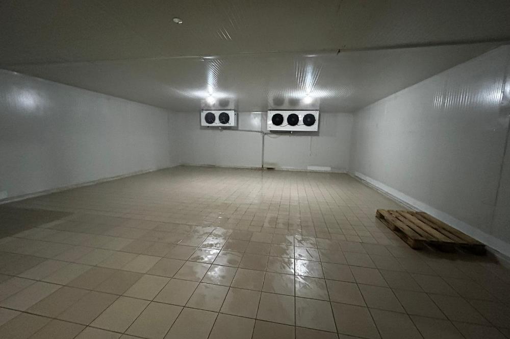 Century21 Neo’dan Manisa ili Kula ilçesinde satılık peynir fabrikası