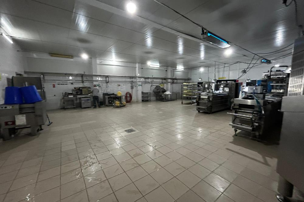 Century21 Neo’dan Manisa ili Kula ilçesinde satılık peynir fabrikası