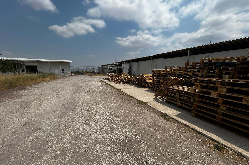 Century21 Neo’dan Manisa ili Kula ilçesinde satılık peynir fabrikası