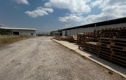 Century21 Neo’dan Manisa ili Kula ilçesinde satılık peynir fabrikası