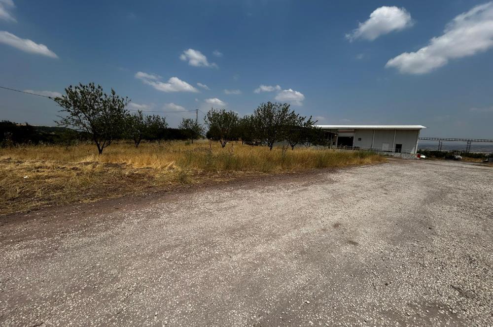 Century21 Neo’dan Manisa ili Kula ilçesinde satılık peynir fabrikası