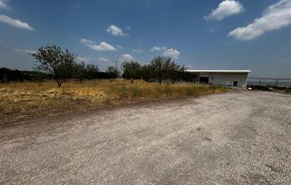 Century21 Neo’dan Manisa ili Kula ilçesinde satılık peynir fabrikası