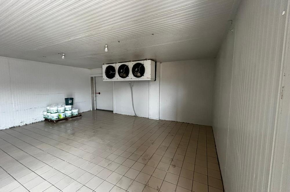 Century21 Neo’dan Manisa ili Kula ilçesinde satılık peynir fabrikası