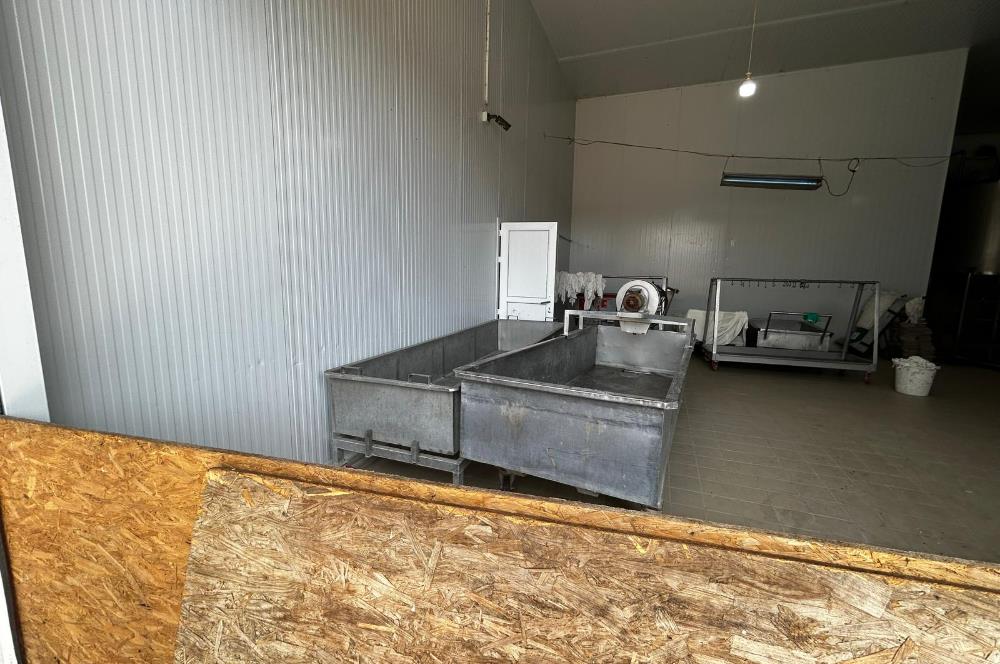 Century21 Neo’dan Manisa ili Kula ilçesinde satılık peynir fabrikası