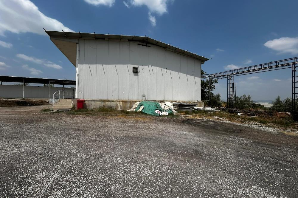 Century21 Neo’dan Manisa ili Kula ilçesinde satılık peynir fabrikası