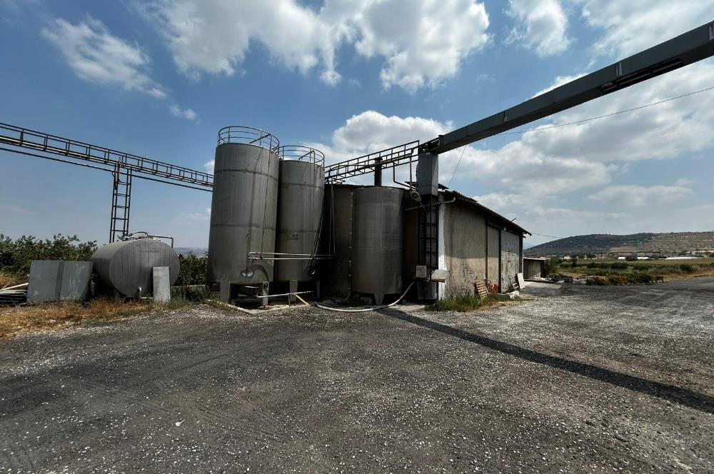 Century21 Neo’dan Manisa ili Kula ilçesinde satılık peynir fabrikası