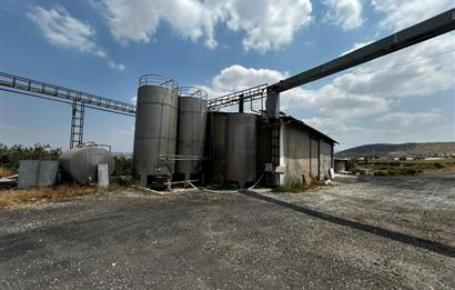 Century21 Neo’dan Manisa ili Kula ilçesinde satılık peynir fabrikası
