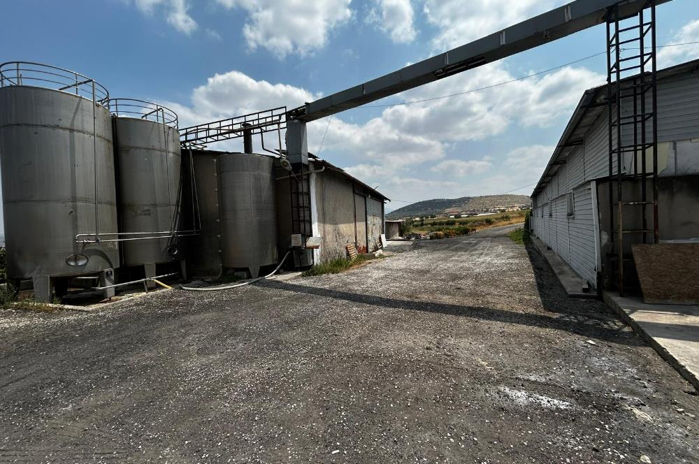 Century21 Neo’dan Manisa ili Kula ilçesinde satılık peynir fabrikası