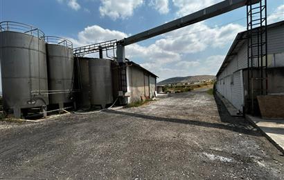 Century21 Neo’dan Manisa ili Kula ilçesinde satılık peynir fabrikası