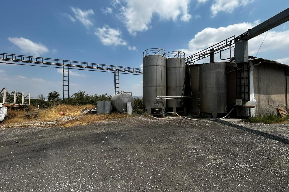Century21 Neo’dan Manisa ili Kula ilçesinde satılık peynir fabrikası
