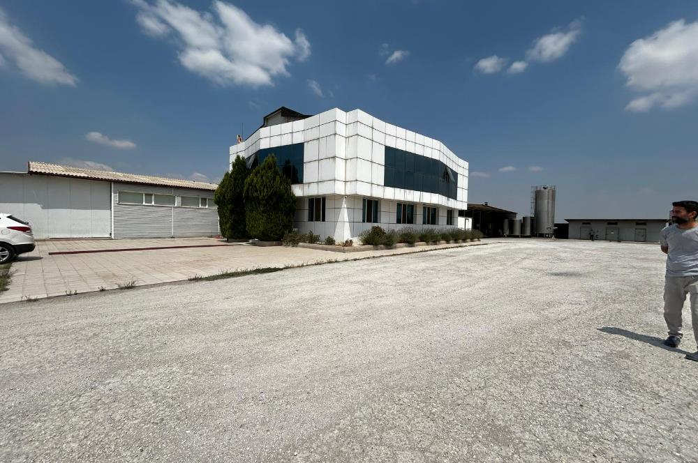 Century21 Neo’dan Manisa ili Kula ilçesinde satılık peynir fabrikası