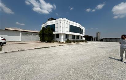 Century21 Neo’dan Manisa ili Kula ilçesinde satılık peynir fabrikası