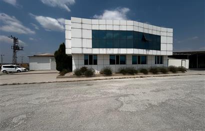 Century21 Neo’dan Manisa ili Kula ilçesinde satılık peynir fabrikası