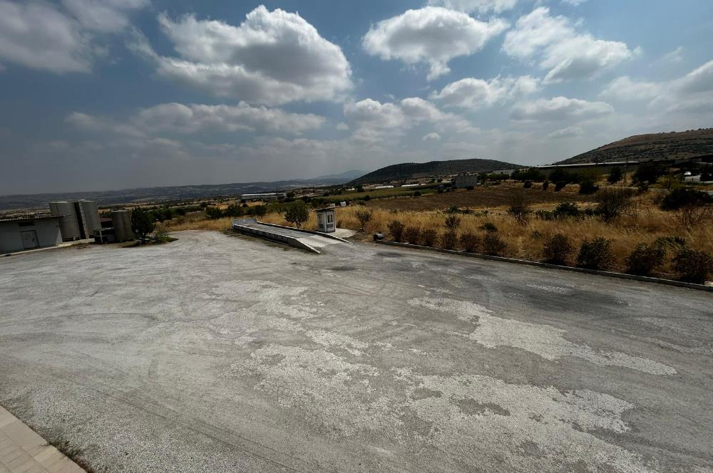 Century21 Neo’dan Manisa ili Kula ilçesinde satılık peynir fabrikası