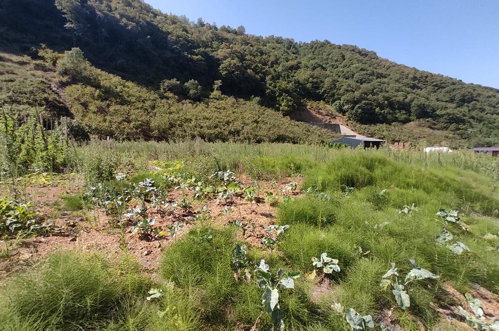 YOMRA'DA TİCARİ EMSALİ BULUNAN İŞİNİ GELİŞTİRECEKLERE ÖZEL ARSA