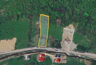 YOMRA'DA TİCARİ EMSALİ BULUNAN İŞİNİ GELİŞTİRECEKLERE ÖZEL ARSA