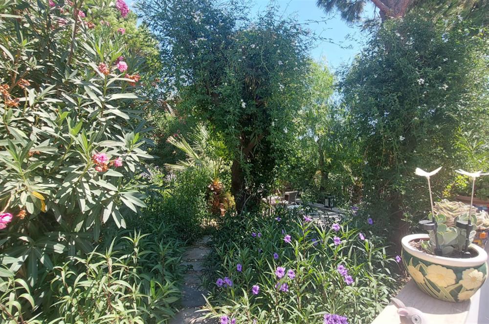 Bodrum-Bitez  kiralık dubleks villa