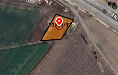 CENTURY21 VİZYON'DAN TURGUTLARDA SATILIK TARLA 