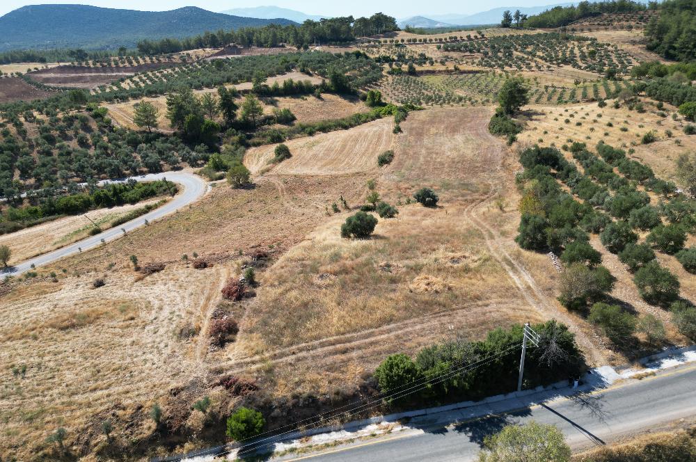 Muğla Yatağan'da Yola Cepheli Satılık Arazi