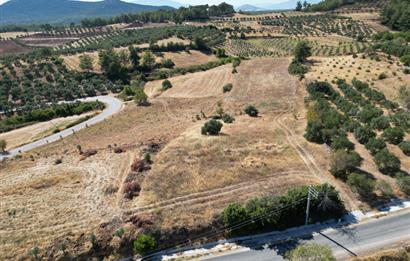 Muğla Yatağan'da Yola Cepheli Satılık Arazi