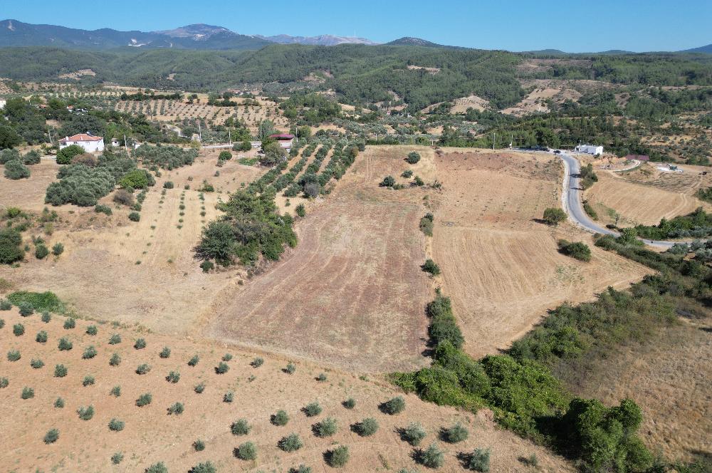 Muğla Yatağan'da Yola Cepheli Satılık Arazi