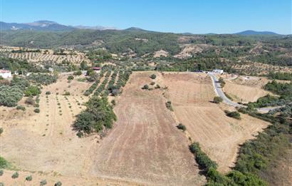 Muğla Yatağan'da Yola Cepheli Satılık Arazi