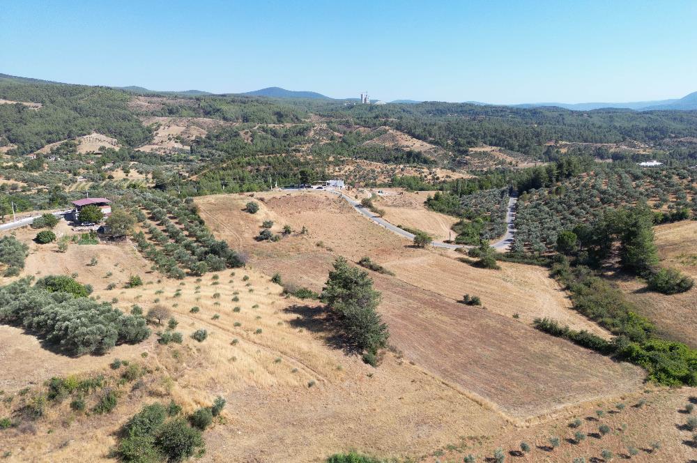 Muğla Yatağan'da Yola Cepheli Satılık Arazi