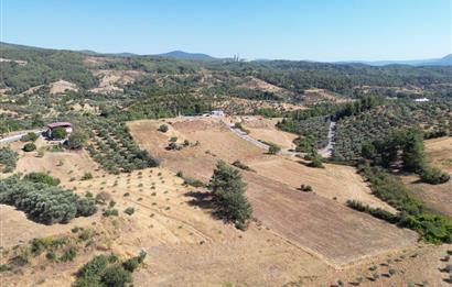 Muğla Yatağan'da Yola Cepheli Satılık Arazi