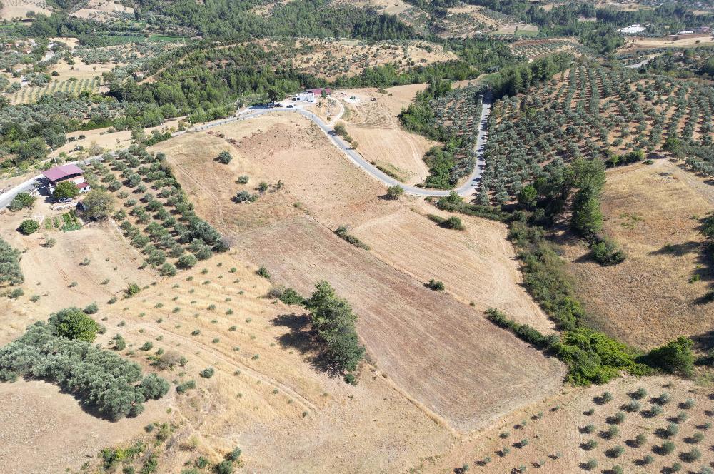 Muğla Yatağan'da Yola Cepheli Satılık Arazi