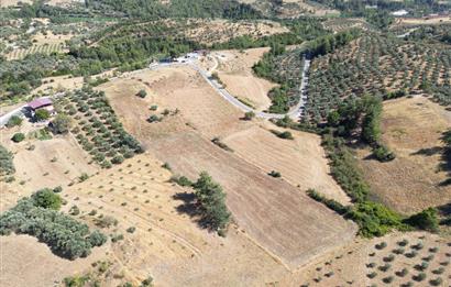 Muğla Yatağan'da Yola Cepheli Satılık Arazi