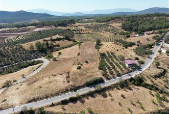 Muğla Yatağan'da Yola Cepheli Satılık Arazi
